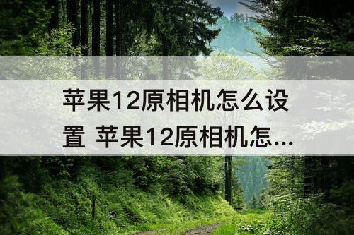 苹果12原相机怎么设置 苹果12原相机怎么设置水印