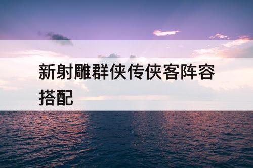 新射雕群侠传侠客阵容搭配