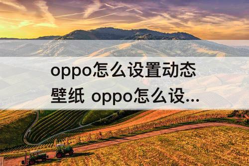 oppo怎么设置动态壁纸 oppo怎么设置动态壁纸视频抖音