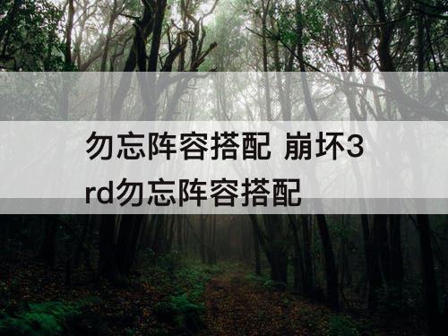 勿忘阵容搭配 崩坏3rd勿忘阵容搭配
