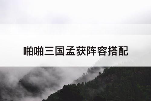 啪啪三国孟获阵容搭配