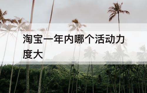 淘宝一年内哪个活动力度大