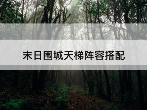 末日围城天梯阵容搭配
