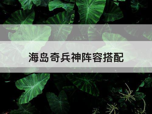 海岛奇兵神阵容搭配