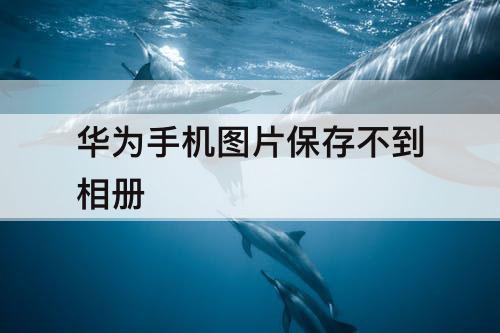 华为手机图片保存不到相册