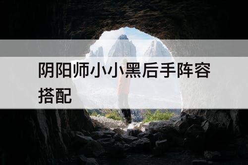阴阳师小小黑后手阵容搭配