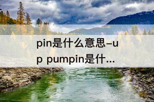pin是什么意思-up pumpin是什么意思英语