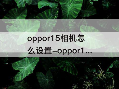 oppor15相机怎么设置-oppor15相机怎么设置像素