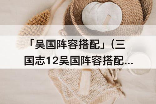 「吴国阵容搭配」(三国志12吴国阵容搭配)
