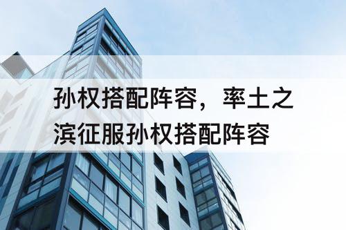 孙权搭配阵容，率土之滨征服孙权搭配阵容