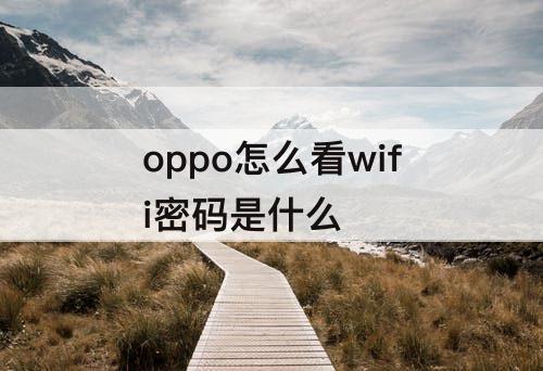 oppo怎么看wifi密码是什么