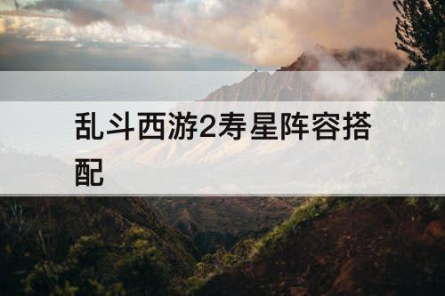 乱斗西游2寿星阵容搭配