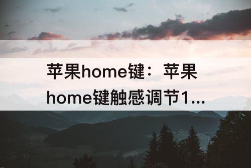 苹果home键：苹果home键触感调节123
