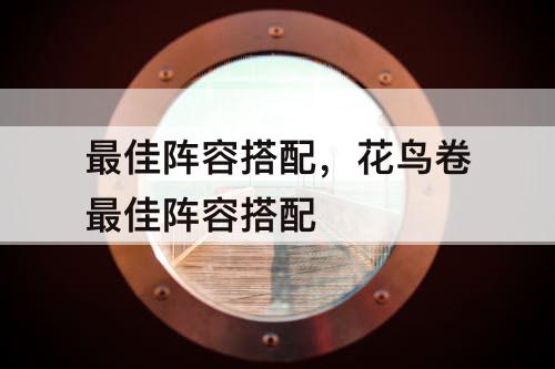 最佳阵容搭配，花鸟卷最佳阵容搭配