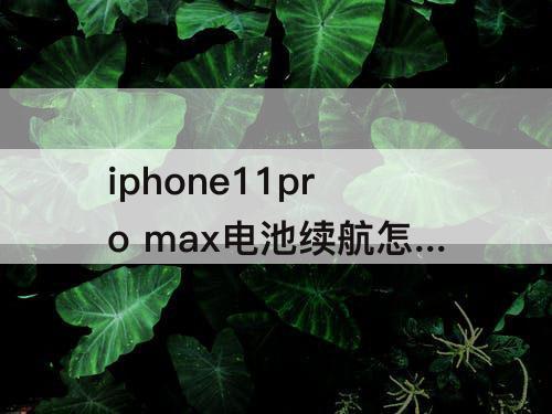 iphone11pro max电池续航怎么样