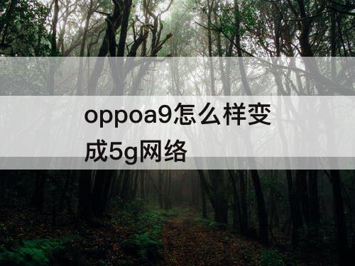 oppoa9怎么样变成5g网络