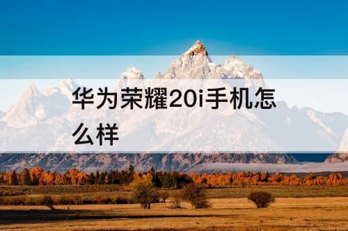 华为荣耀20i手机怎么样