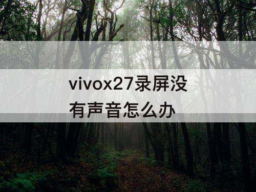 vivox27录屏没有声音怎么办