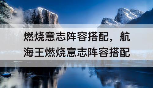 燃烧意志阵容搭配，航海王燃烧意志阵容搭配