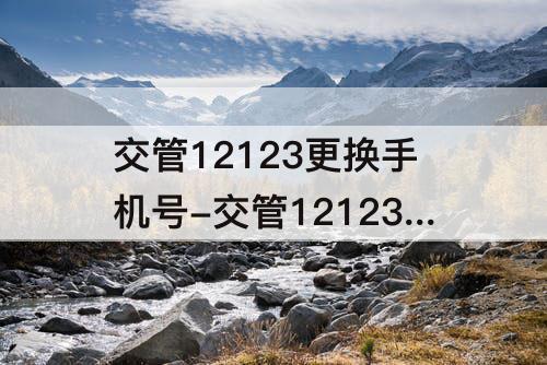 交管12123更换手机号-交管12123更换手机号审核要多久才能登录