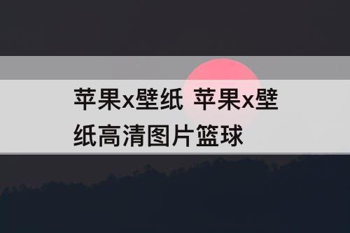 苹果x壁纸 苹果x壁纸高清图片篮球