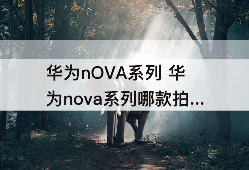 华为nOVA系列 华为nova系列哪款拍照最好