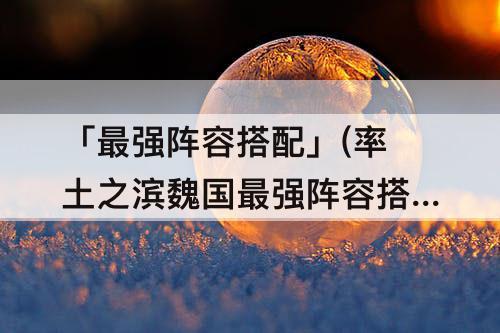 「最强阵容搭配」(率土之滨魏国最强阵容搭配)