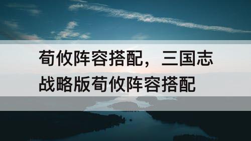 荀攸阵容搭配，三国志战略版荀攸阵容搭配
