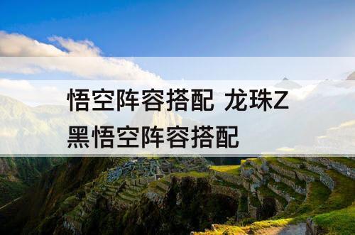 悟空阵容搭配 龙珠Z黑悟空阵容搭配