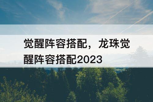 觉醒阵容搭配，龙珠觉醒阵容搭配2023