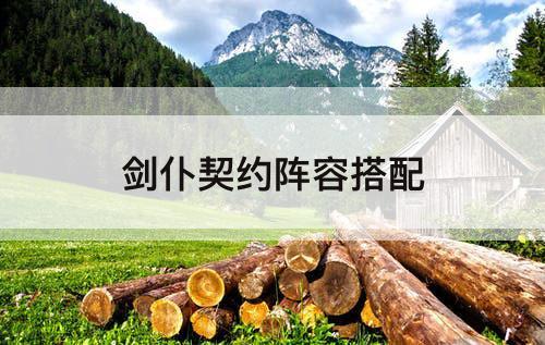 剑仆契约阵容搭配