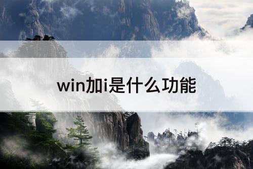 win加i是什么功能