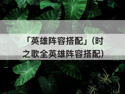 「英雄阵容搭配」(时之歌全英雄阵容搭配)
