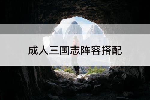 三国志阵容搭配