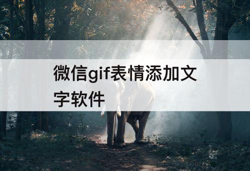 微信gif表情添加文字软件