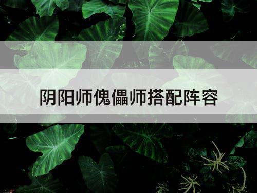 阴阳师傀儡师搭配阵容