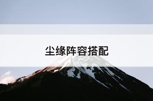 尘缘阵容搭配