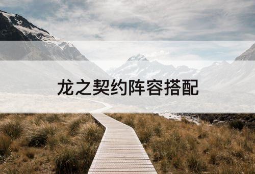 龙之契约阵容搭配