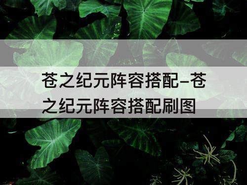苍之纪元阵容搭配-苍之纪元阵容搭配刷图