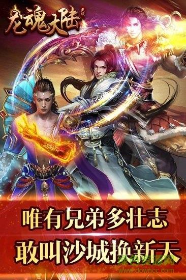 龙魂大陆星耀版手游  v1.0.1图3