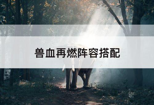 兽血再燃阵容搭配