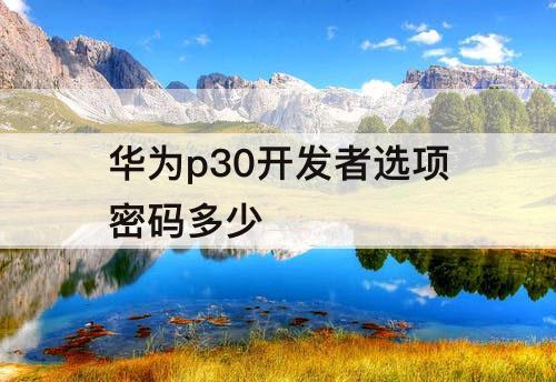 华为p30开发者选项密码多少