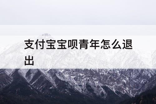 支付宝宝呗青年怎么退出