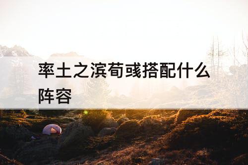 率土之滨荀彧搭配什么阵容