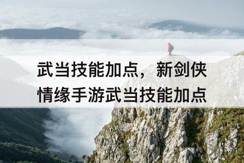 武当技能加点，新剑侠情缘手游武当技能加点
