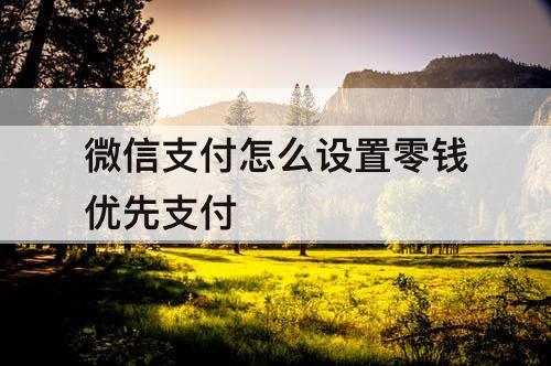 微信支付怎么设置零钱优先支付