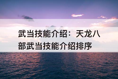 武当技能介绍：天龙八部武当技能介绍排序