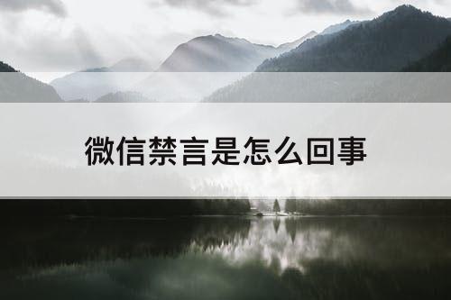 微信禁言是怎么回事