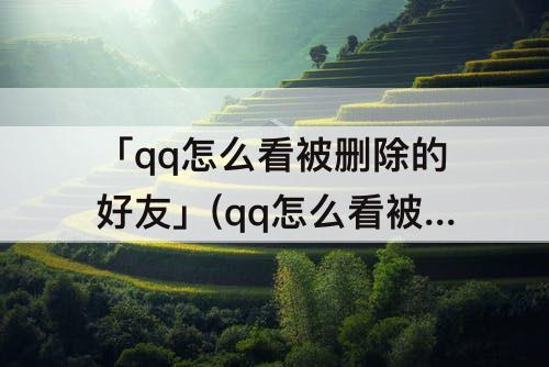 「qq怎么看被删除的好友」(qq怎么看被删除的好友聊天记录)