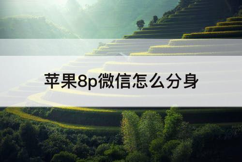 苹果8p微信怎么分身